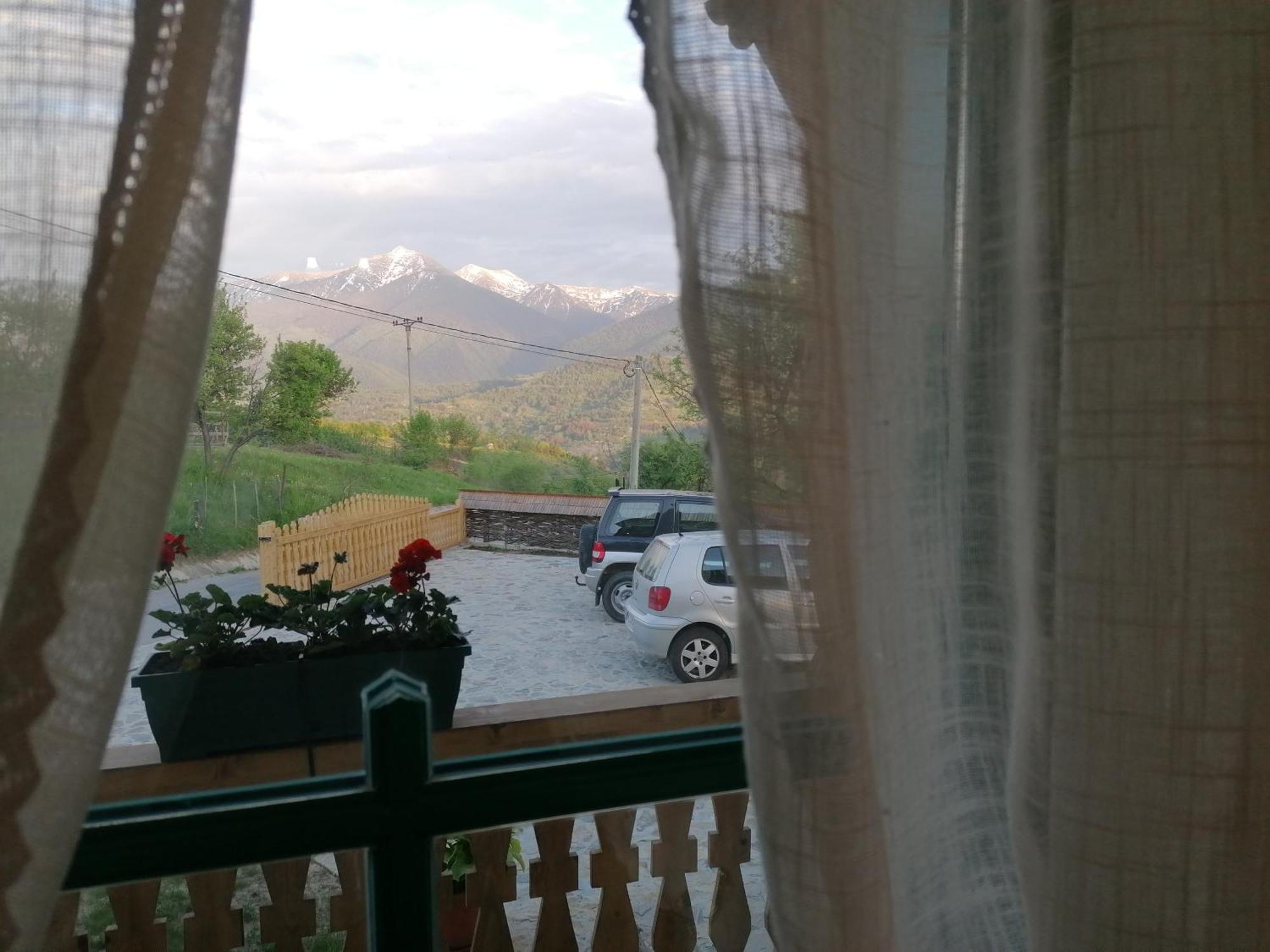 Pensiunea Casuta Din Deal Moisei Quarto foto